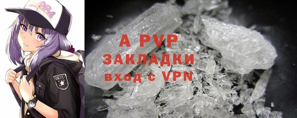 крисы Балахна