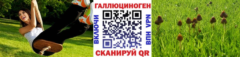 Псилоцибиновые грибы Psilocybine cubensis  наркошоп  это состав  Красный Холм 